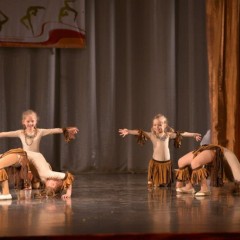 «Северная пальмира» - 2014