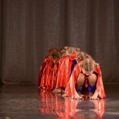 «Северная пальмира» - 2014
