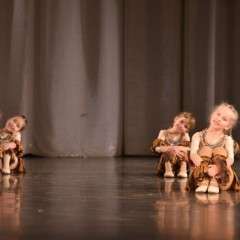 «Северная пальмира» - 2014