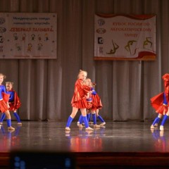 «Северная пальмира» - 2014