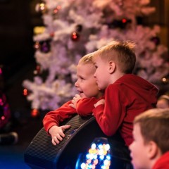 Новый год 18.12.2018 ресторан «Цинь»