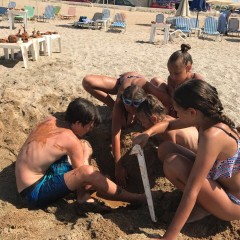 О.Крит июнь 2018г